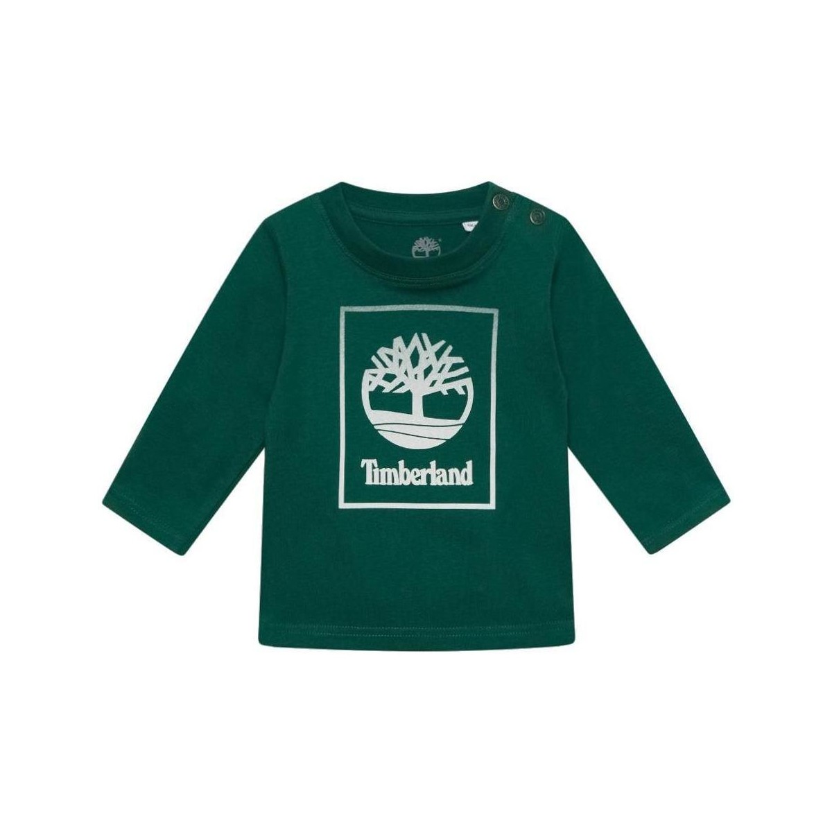 Textil Chlapecké Trička s krátkým rukávem Timberland  Zelená
