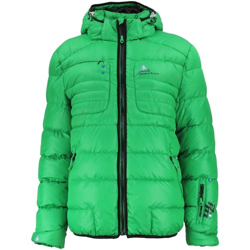 Textil Muži Prošívané bundy Peak Mountain Doudoune de ski homme CAPTI Zelená