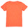 Textil Chlapecké Trička s krátkým rukávem Name it NKMFAWA SS TOP Oranžová