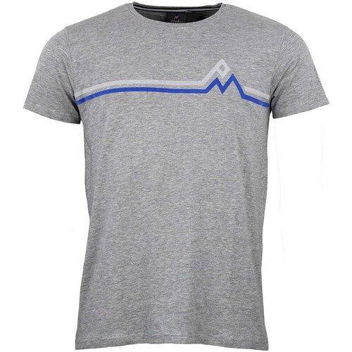 Textil Muži Trička s krátkým rukávem Peak Mountain T-shirt manches courtes homme CASA Šedá