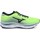 Boty Muži Běžecké / Krosové boty Mizuno Wave Sky 5 Zelená