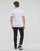 Textil Muži Trička s krátkým rukávem Calvin Klein Jeans MICRO MONOLOGO TEE Bílá