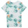 Textil Chlapecké Trička s krátkým rukávem Deeluxe ZONIA TS B m+ Bílá / Modrá