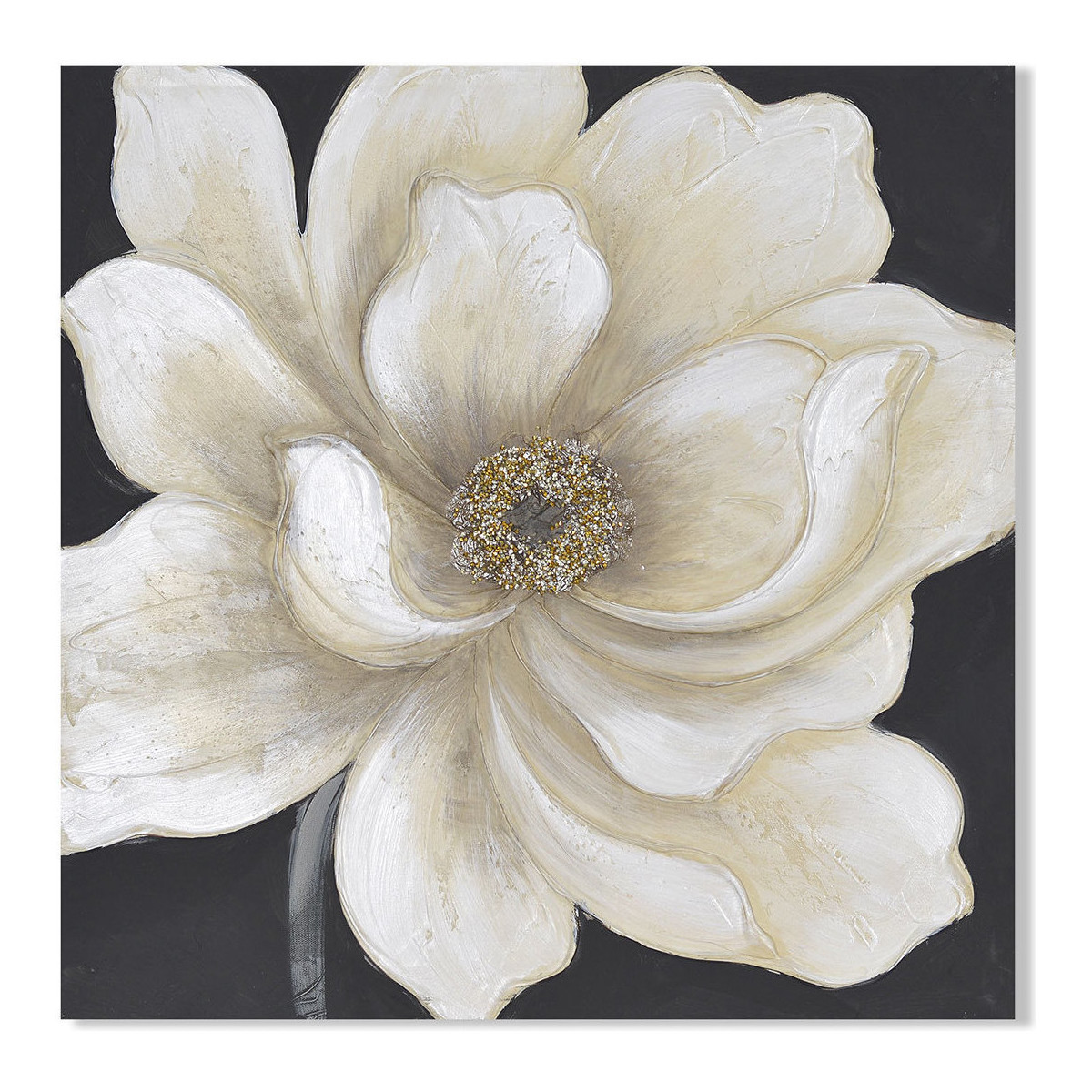 Bydlení Obrazy / plátna Signes Grimalt Bílá Květina Bílá