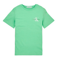 Textil Chlapecké Trička s krátkým rukávem Calvin Klein Jeans CHEST MONOGRAM TOP Zelená