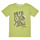 Textil Chlapecké Trička s krátkým rukávem Guess DUSTY KIWI Zelená / Světlá