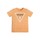 Textil Chlapecké Trička s krátkým rukávem Guess SS TSHIRT CORE Oranžová