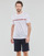 Textil Muži Trička s krátkým rukávem Tommy Hilfiger CN SS TEE LOGO Bílá