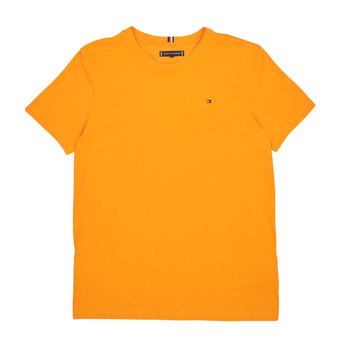 Textil Chlapecké Trička s krátkým rukávem Tommy Hilfiger ESSENTIAL COTTON Žlutá