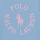 Textil Dívčí Trička s krátkým rukávem Polo Ralph Lauren SS GRAPHIC T-KNIT SHIRTS-T-SHIRT Modrá / Nebeská modř / Růžová