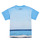 Textil Chlapecké Trička s krátkým rukávem Desigual TS_ALBERT Modrá
