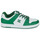 Boty Muži Nízké tenisky DC Shoes MANTECA 4 SN Bílá / Zelená