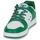 Boty Muži Nízké tenisky DC Shoes MANTECA 4 SN Bílá / Zelená
