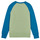Textil Děti Mikiny Patagonia K's LW Crew Sweatshirt           