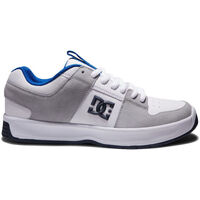 Boty Muži Módní tenisky DC Shoes Lynx zero ADYS100615 WHITE/BLUE/GREY (XWBS) Bílá