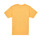 Textil Děti Trička s krátkým rukávem Vans BOARDVIEW SS Žlutá