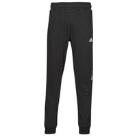 Textil Muži Teplákové kalhoty Adidas Sportswear BL PT Černá
