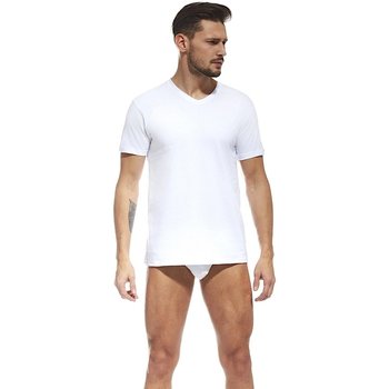 Textil Muži Trička s krátkým rukávem Cornette Pánské tričko 201 Authentic new biała 