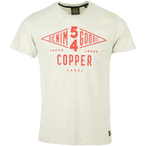 Textil Muži Trička s krátkým rukávem Superdry Copper Label Tee Šedá
