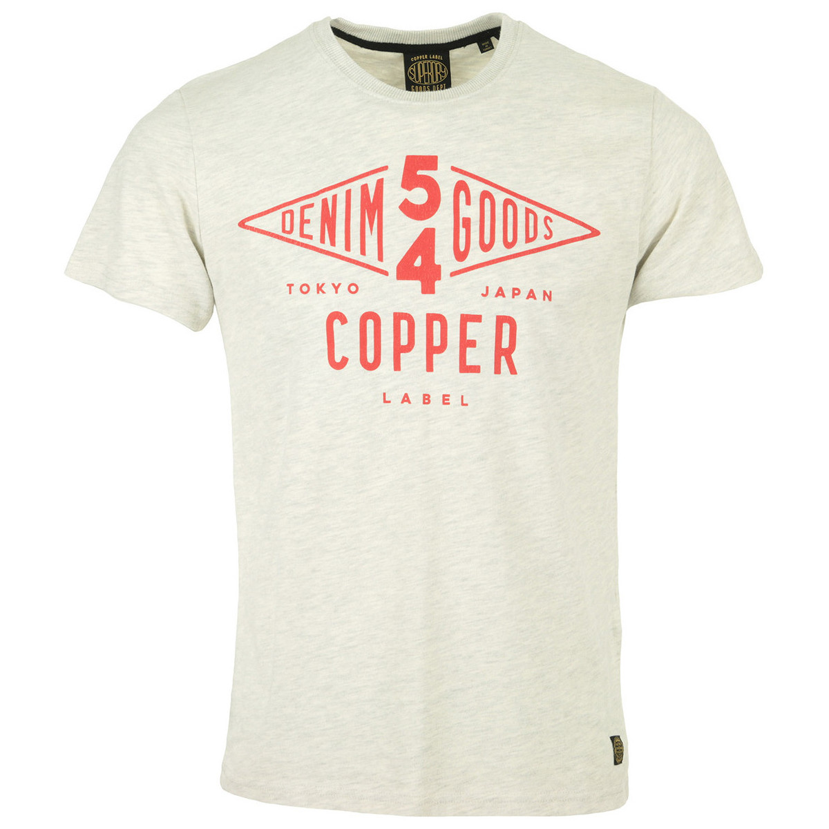 Textil Muži Trička s krátkým rukávem Superdry Copper Label Tee Šedá