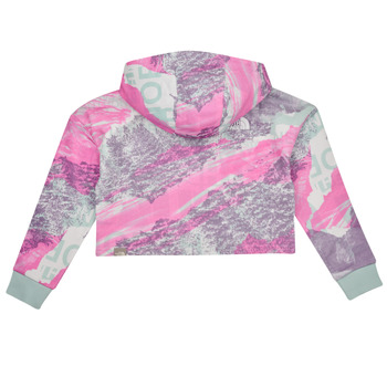 The North Face Girls Drew Peak Light Hoodie           