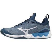 Boty Muži Multifunkční sportovní obuv Mizuno Wave Luminous 2 Modrá