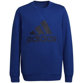 Textil Chlapecké Mikiny adidas Originals Big Logo JR Modrá