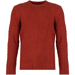 Textil Muži Svetry Pepe jeans PM702278 | New Jules Červená