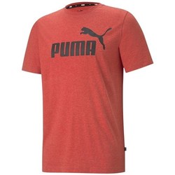 Textil Muži Trička s krátkým rukávem Puma Essentials Oranžová