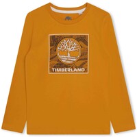 Textil Chlapecké Trička s krátkým rukávem Timberland T25U36-575-C Žlutá