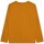 Textil Chlapecké Trička s krátkým rukávem Timberland T25U36-575-J Žlutá