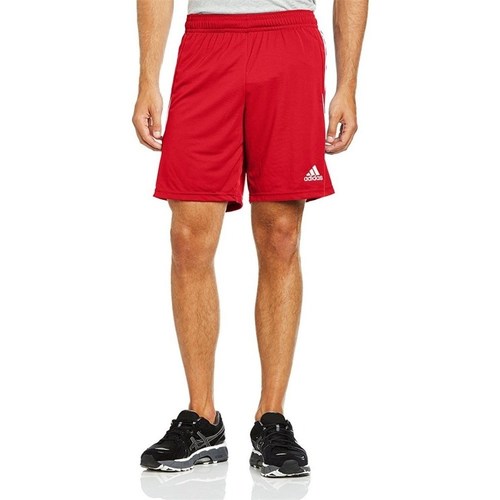 Textil Muži Tříčtvrteční kalhoty adidas Originals Traning Squad 13 Červená