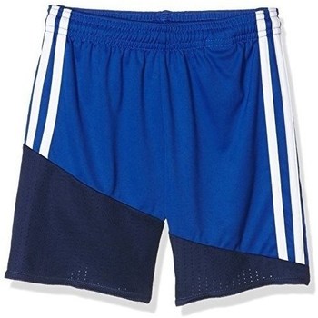 Textil Muži Tříčtvrteční kalhoty adidas Originals Regista 16 Modrá