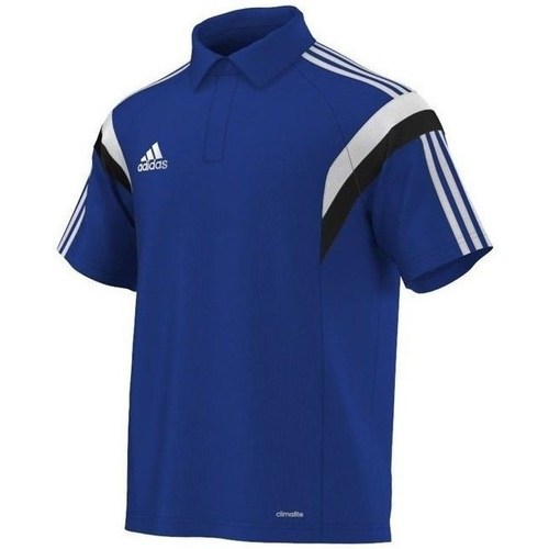 Textil Muži Trička s krátkým rukávem adidas Originals CONDIVO14 Modrá