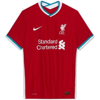 Textil Muži Trička s krátkým rukávem Nike Vapor Match Liverpool FC 2021 Home Červená