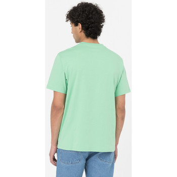 Dickies Ss mapleton t-shirt Zelená