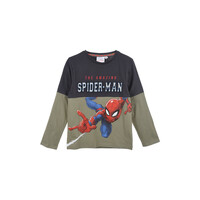 Textil Chlapecké Trička s dlouhými rukávy TEAM HEROES  T SHIRT SPIDERMAN Šedá
