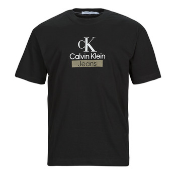 Textil Muži Trička s krátkým rukávem Calvin Klein Jeans STACKED ARCHIVAL TEE Černá