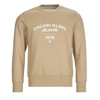 Textil Muži Mikiny Calvin Klein Jeans VARSITY CURVE CREW NECK Béžová