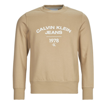 Textil Muži Mikiny Calvin Klein Jeans VARSITY CURVE CREW NECK Béžová