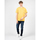 Textil Muži Trička s krátkým rukávem Pepe jeans PM508536 | Treyson Žlutá