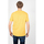 Textil Muži Trička s krátkým rukávem Pepe jeans PM508536 | Treyson Žlutá