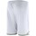 Textil Muži Tříčtvrteční kalhoty Lotto Delta Plus Bílá