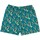 Textil Muži Plavky / Kraťasy Santa Cruz  Zelená