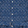 Textil Dívčí Krátké šaty Polo Ralph Lauren LOUELLA DRSS-DRESSES-DAY DRESS Tmavě modrá / Bílá