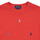 Textil Děti Trička s krátkým rukávem Polo Ralph Lauren SS CN-KNIT SHIRTS-T-SHIRT Červená