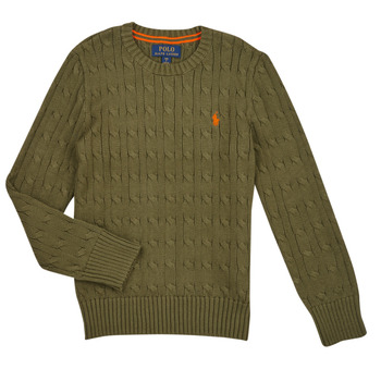 Textil Děti Svetry Polo Ralph Lauren LS CABLE CN-TOPS-SWEATER Khaki