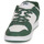 Boty Muži Nízké tenisky DC Shoes MANTECA 4 Bílá / Khaki