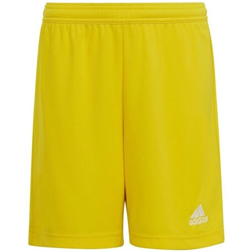 Textil Chlapecké Tříčtvrteční kalhoty adidas Originals Entrada 22 JR Žlutá