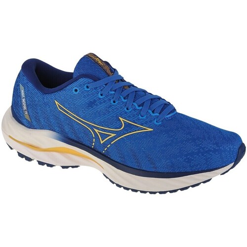 Boty Muži Běžecké / Krosové boty Mizuno Wave Inspire 19 Modrá